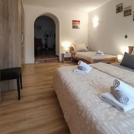 Pet Friendly In Krizisce *